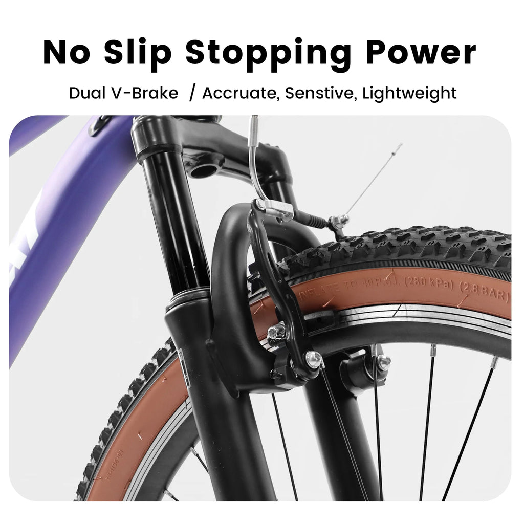 24 Inch 21-Speed Disc Brakes Front Suspension Mountain Bike S936149