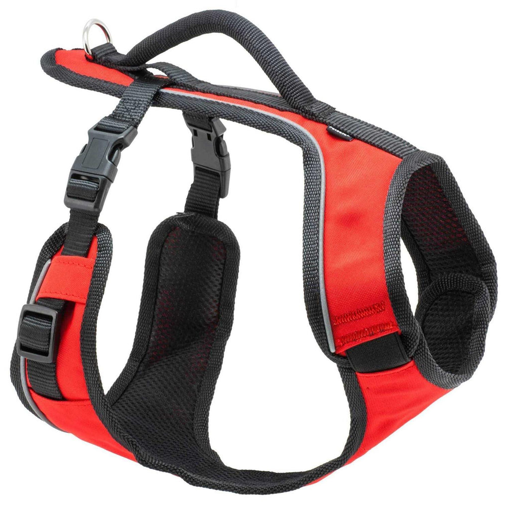 Dog Harness Q688621