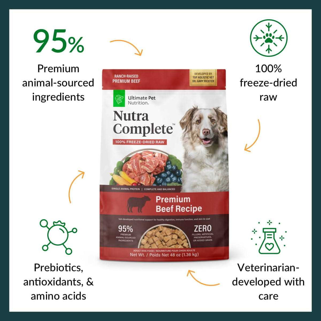 Freeze Dried Beef Dog Food A193