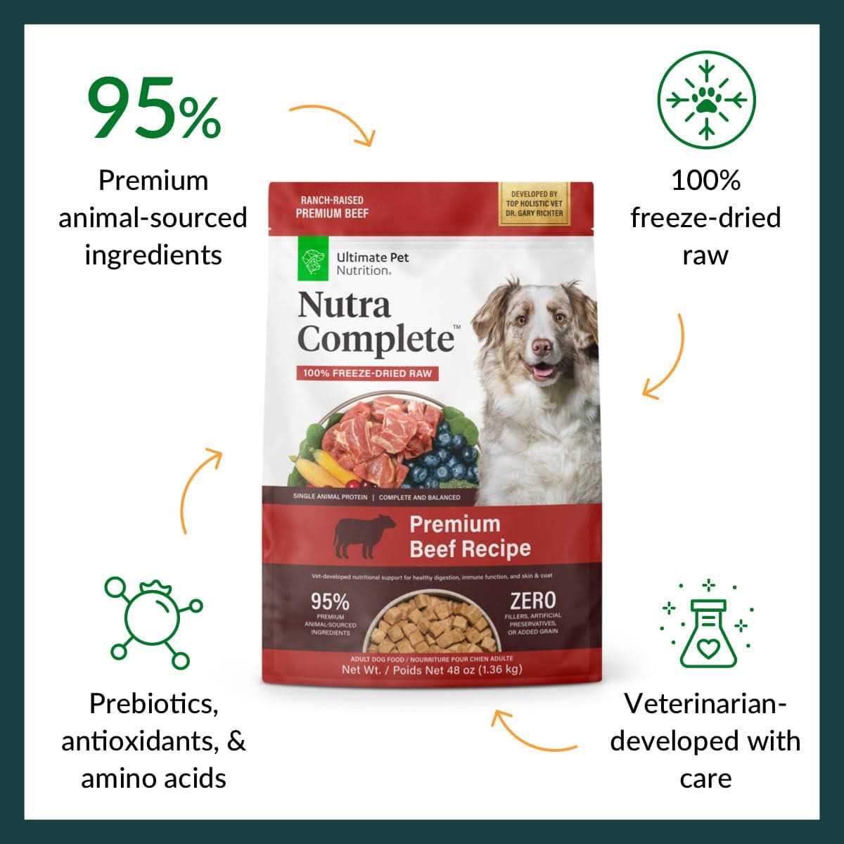 Freeze Dried Beef Dog Food A193