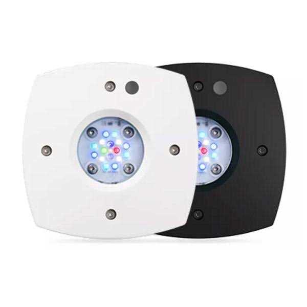 Reef LED S3276