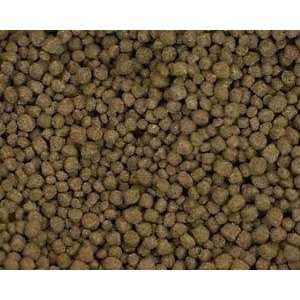 Fish Food T430866