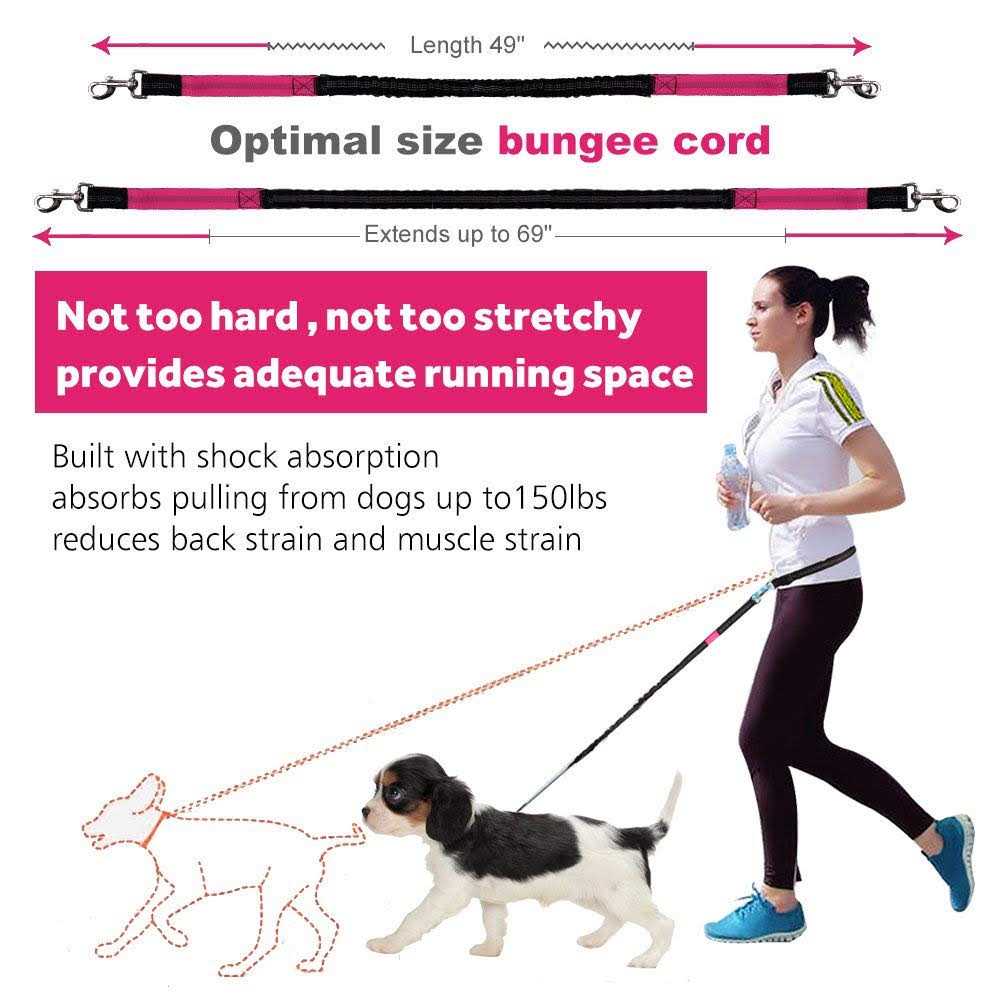 Hands Free Reflective Bungee Dog Leash P323
