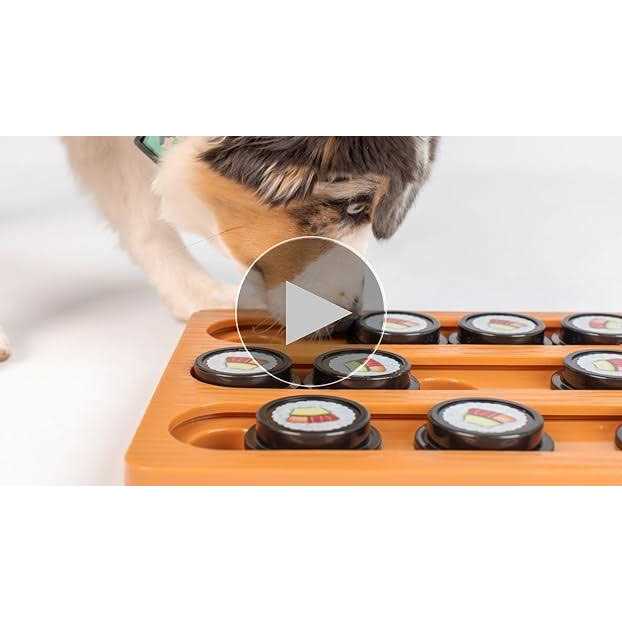 Interactive Puzzle Game Dog Toys & Cat Toys J73540