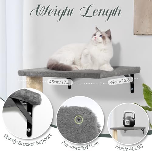Wall Mounted Cat Furniture Set with House Steps Scratcher Hammock H5356
