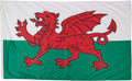 International Flag 5x8' A517