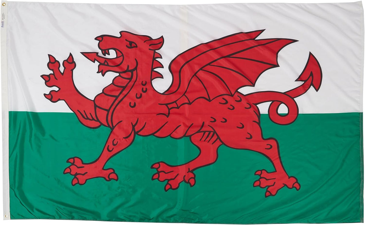 International Flag 5x8' A517