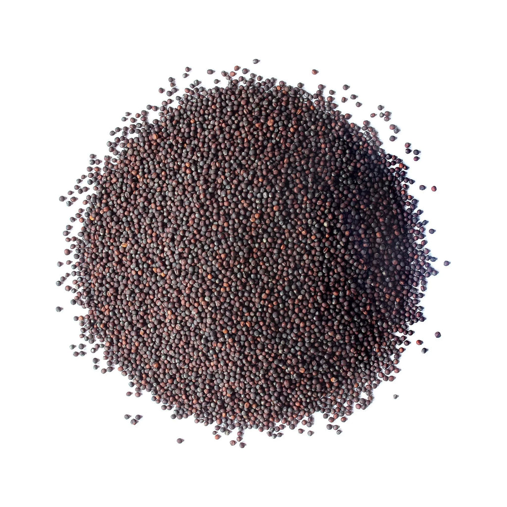 Broccoli Sprouting Seeds, 10 Pounds G147