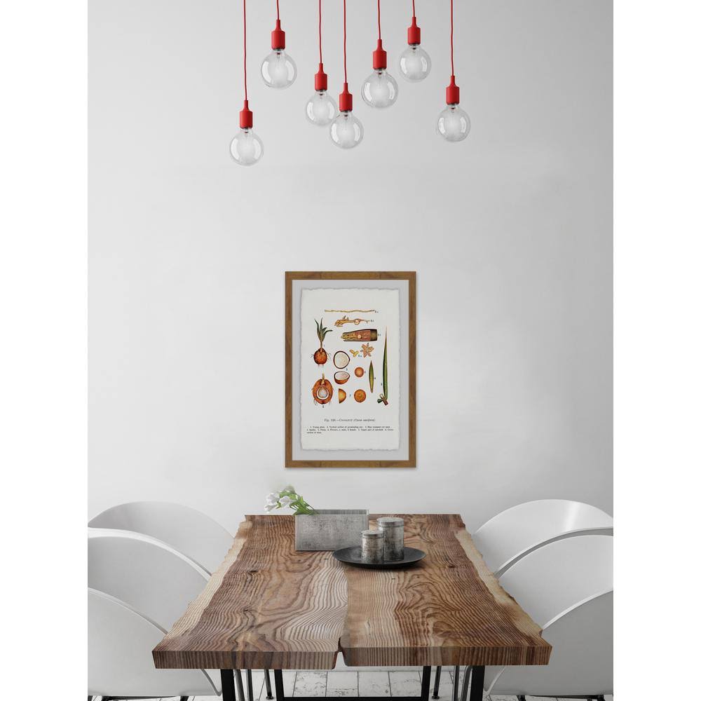 Framed Print D2631