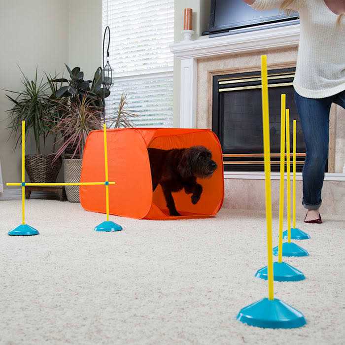 Indoor Dog Agility Kit E701356