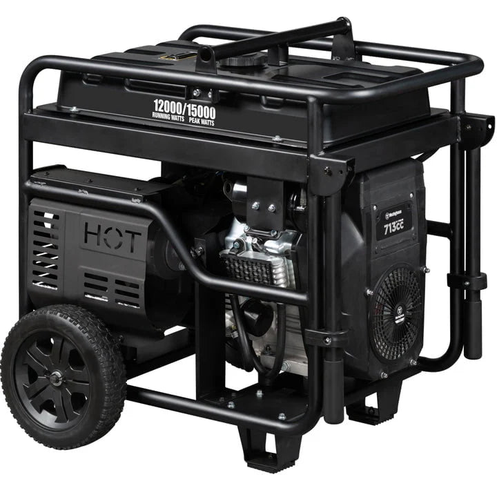 Portable Gas Generator with Electric Start W69309