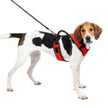Dog Harness Q688621