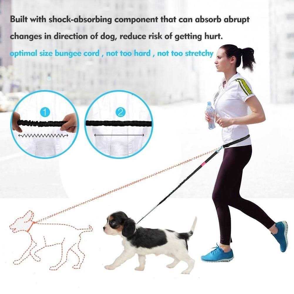 Hands Free Reflective Bungee Dog Leash P323