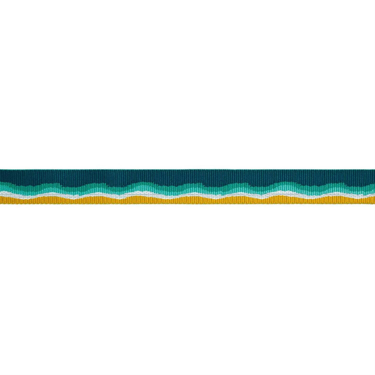Dog Collar S688