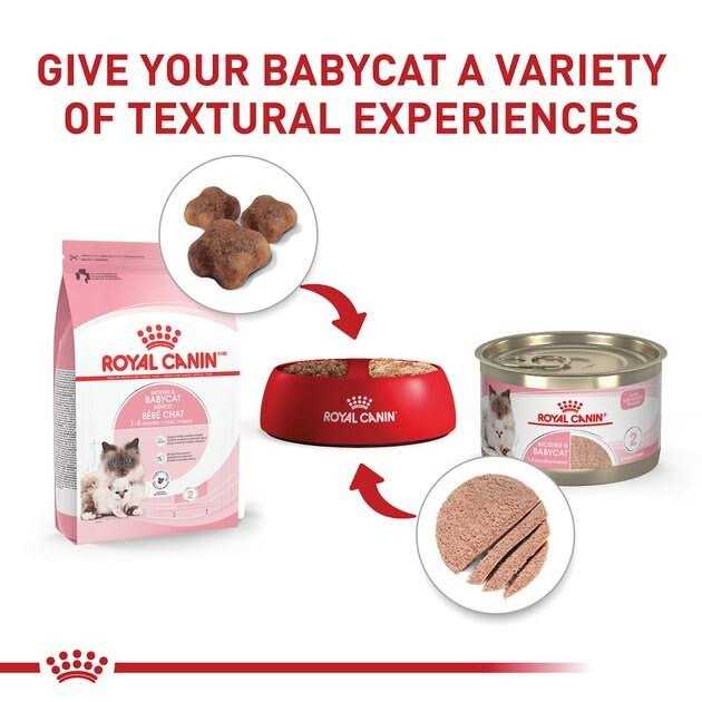 Canned Cat Food D957