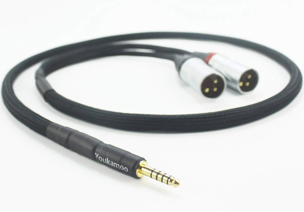 4.4mm to Dual XLR Male Balanced Audio Adapter Cable 5 FT Pack of 2 Y5682