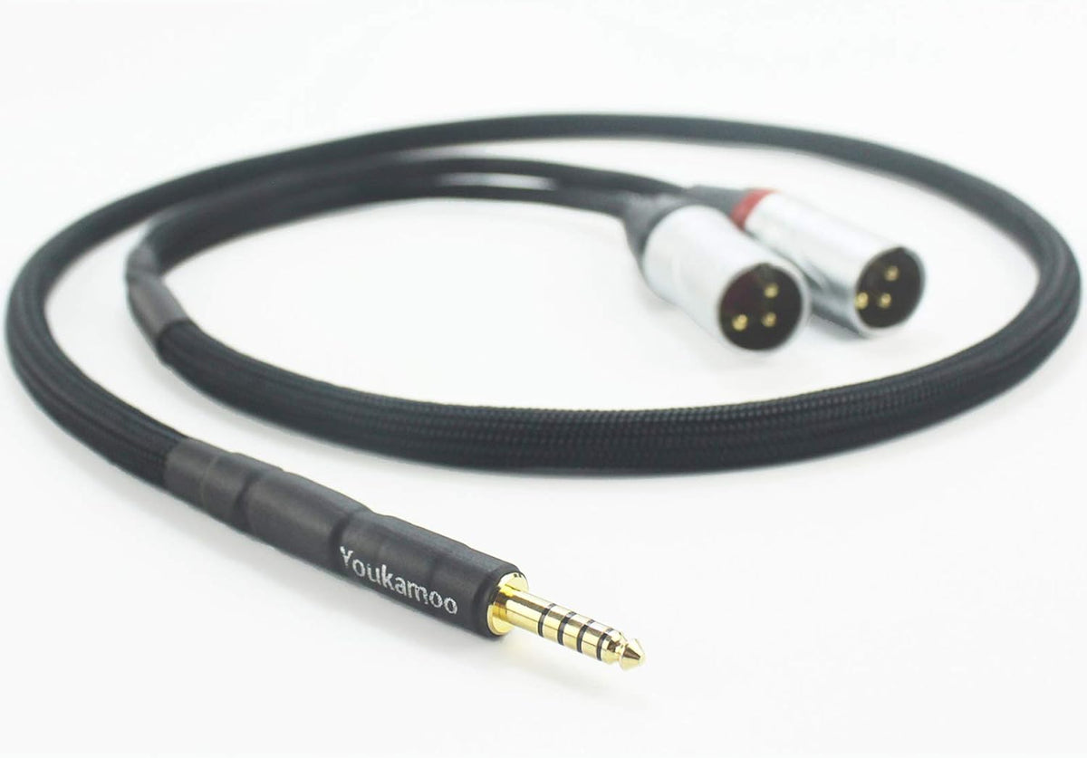 4.4mm to Dual XLR Male Balanced Audio Adapter Cable 5 FT Pack of 2 Y5682