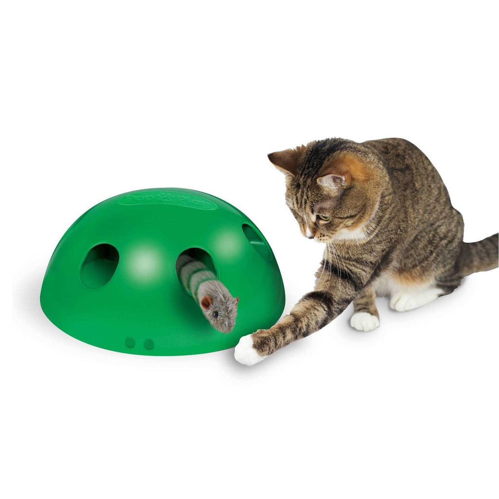 Pop N Play Cat Toy V177507