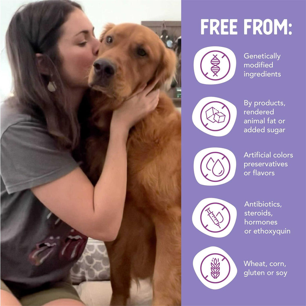 Grain-Free Wet Puppy Food Variety Pack H971