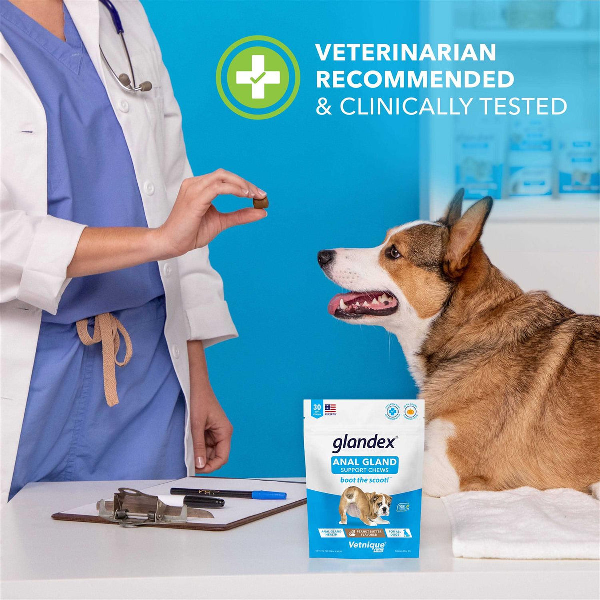 Anal Gland Soft Chews Supplement for Dogs U9826