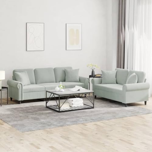Light Gray Velvet 2 Piece Sofa Set S50590