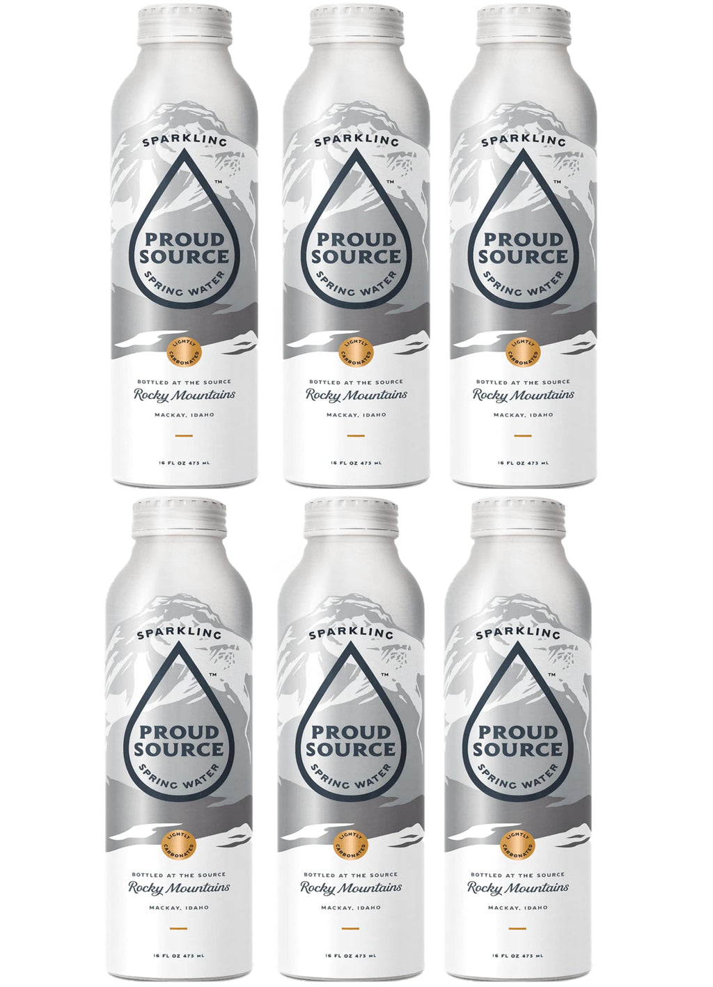 16oz Bottles Pack of 6 Sparkling Spring Water X2478