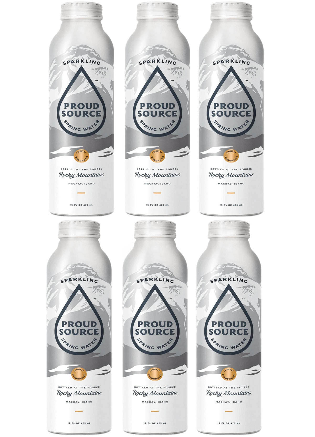 16oz Bottles Pack of 6 Sparkling Spring Water X2478