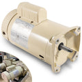 1 HP 115/208-230 Volts 1 Speed Square Flange Pool Motor H303