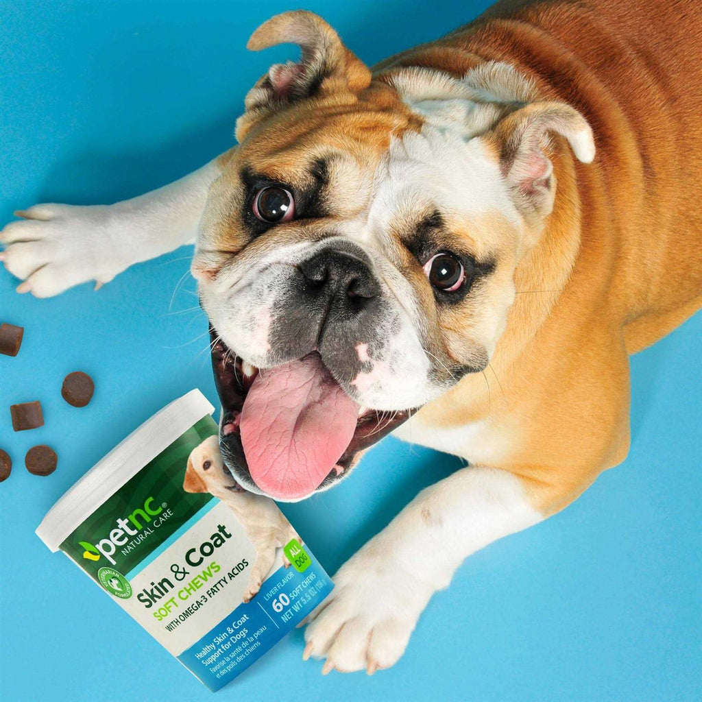 Skin & Coat Soft Chews Q26856