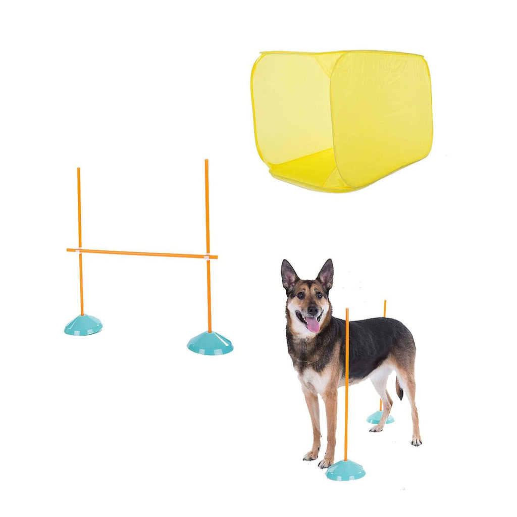 Indoor Dog Agility Kit E701356
