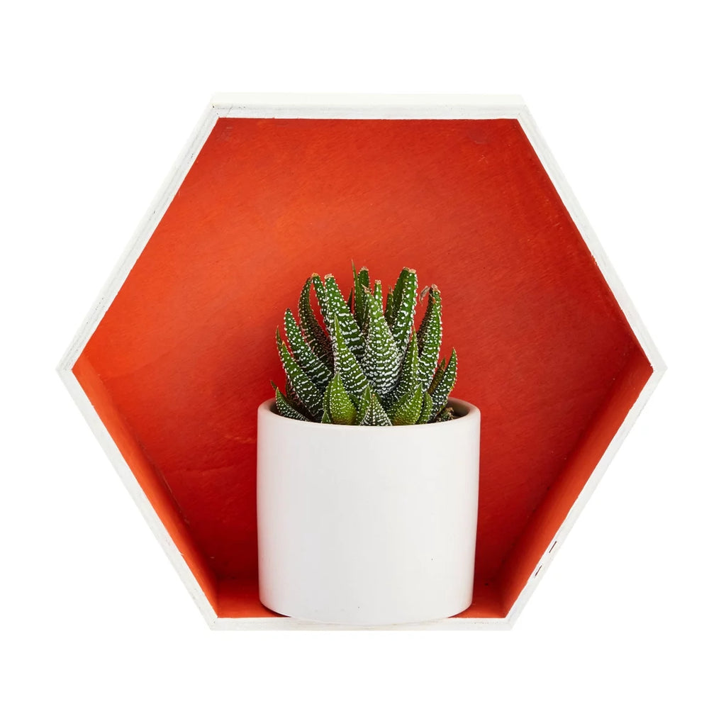 Set of 9 Unfinished Wooden Hexagon Shelves F876348