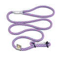 2-in-1 Slip Collar Dog Training Lead & Collar U167