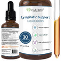 Lymphatic Drainage Drops with Elderberry and Echinacea, 60 Servings - 4oz F1381