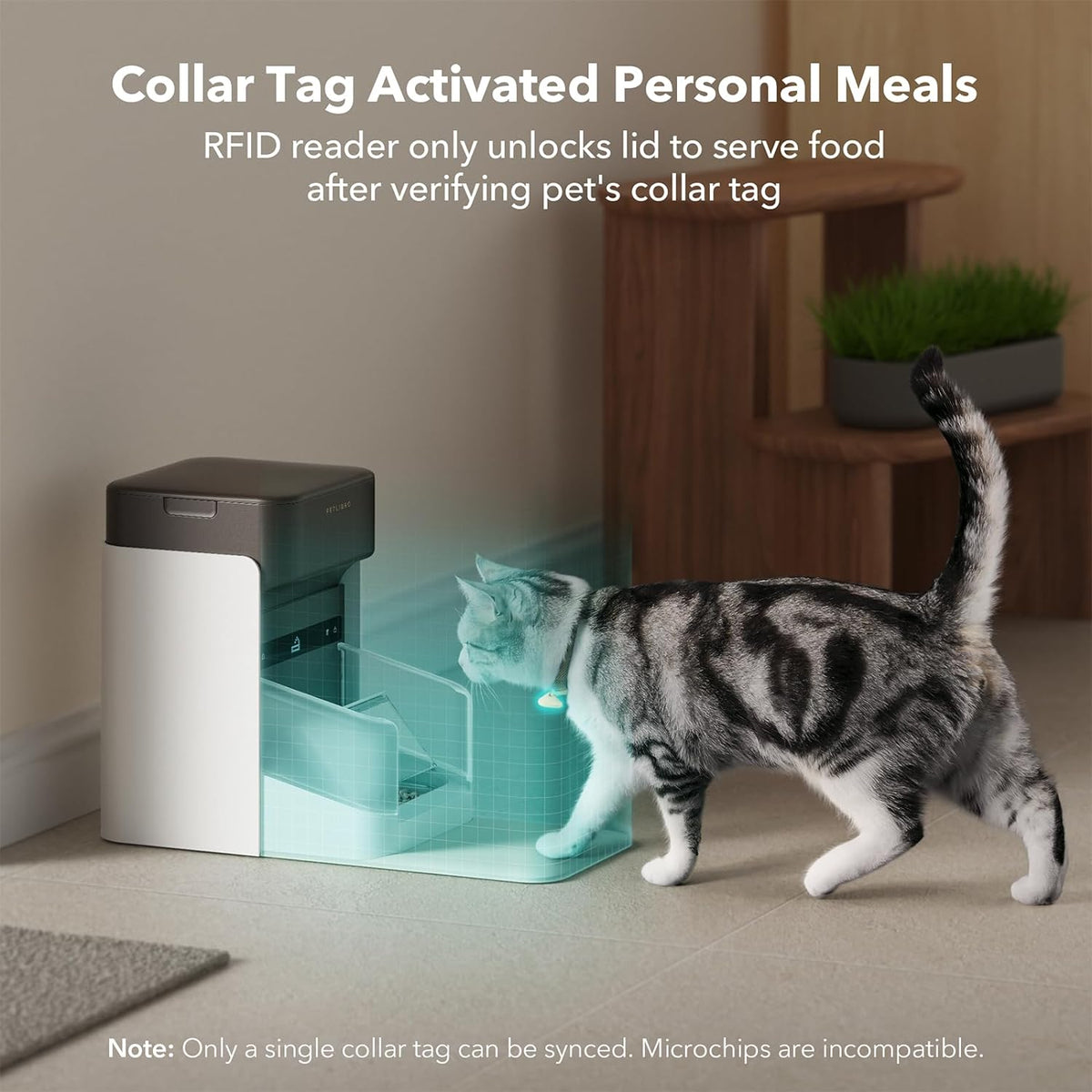 2 Packs RFID Automatic Cat Feeders, 3L K131
