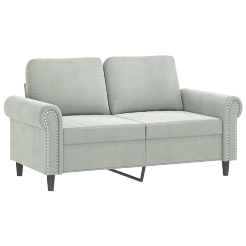 Light Gray Velvet 2 Piece Sofa Set S50590