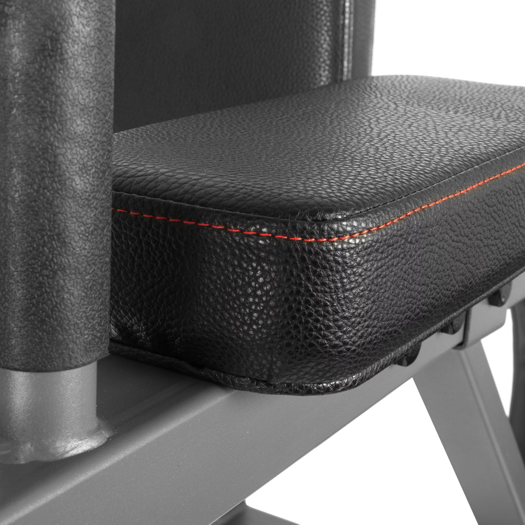 Vertical Knee Raise with Dip Station and Push Up Station D53068