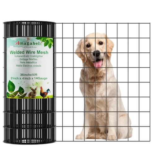 Black PVC Coated Welded Wire Fence 2inchx3inch 24inchx25ft 16Gauge Garden Border Fencing Roll M752