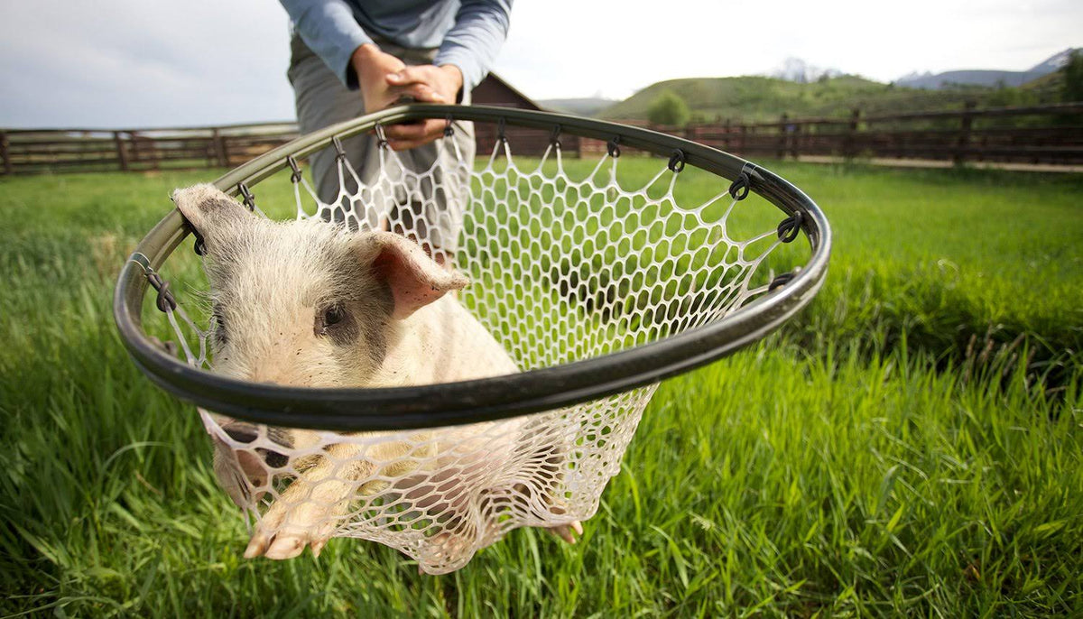 Boat Net R44775