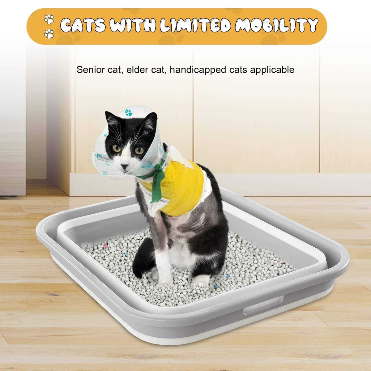 Senior Cat Litter Box Open Low Entry P8069
