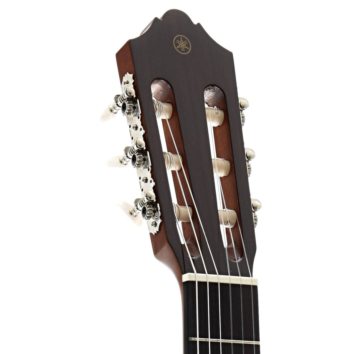 Classical Guitar Cedar Top Natural Y528