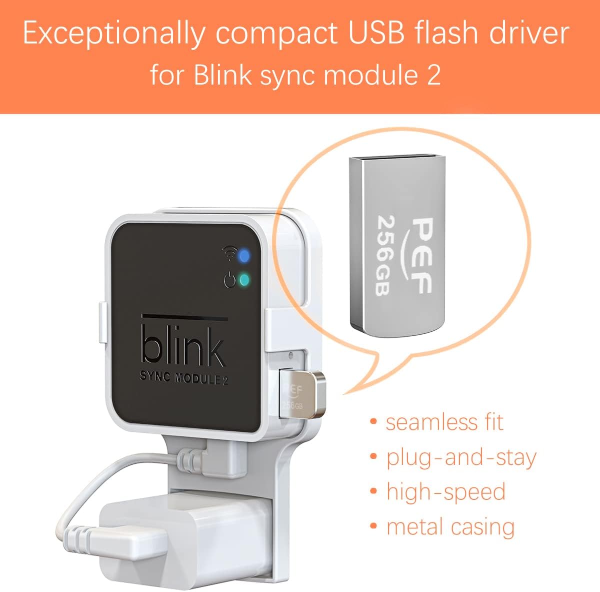 256GB USB Flash Drive for Blink Sync Module 2 N9549