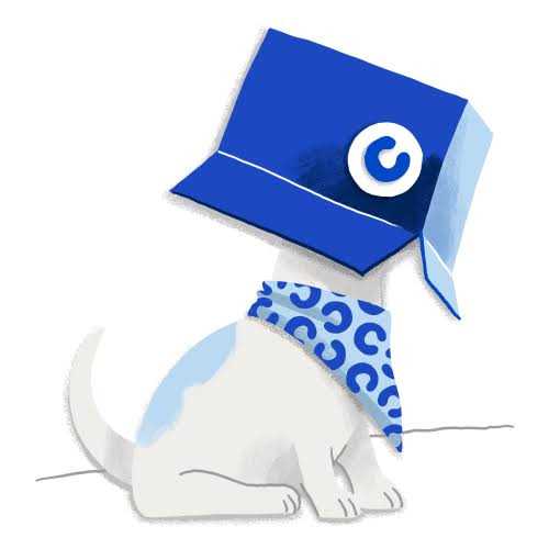 Interactive Puzzle Game Dog Toys & Cat Toys J73540