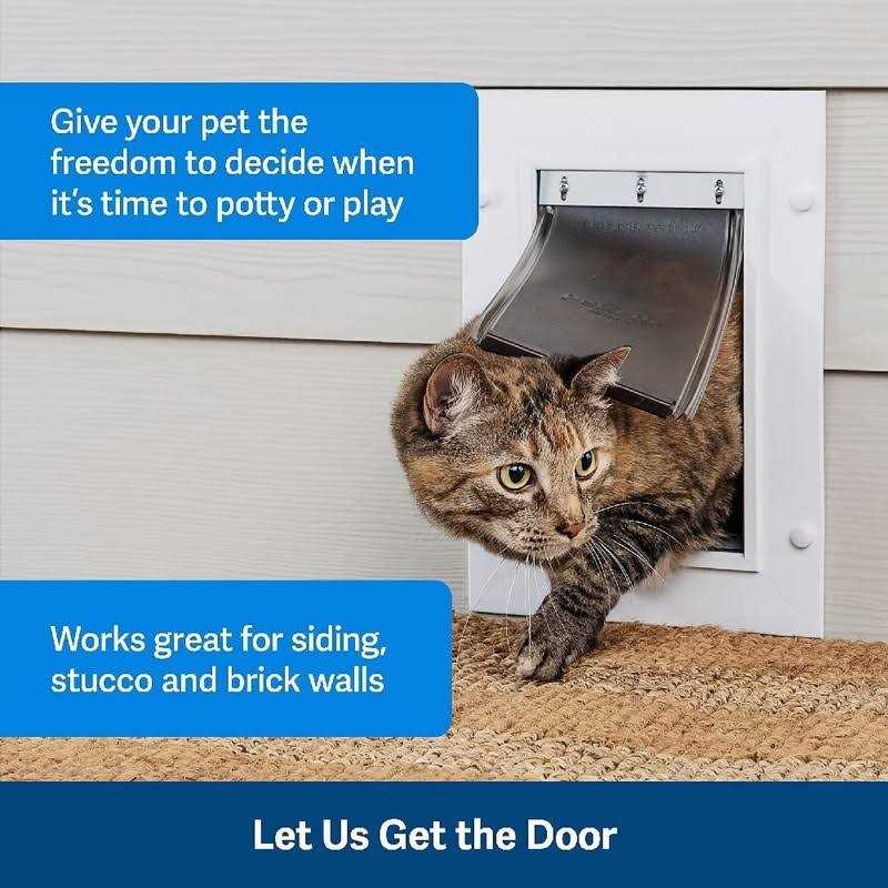 Wall Entry Pet Door P8655
