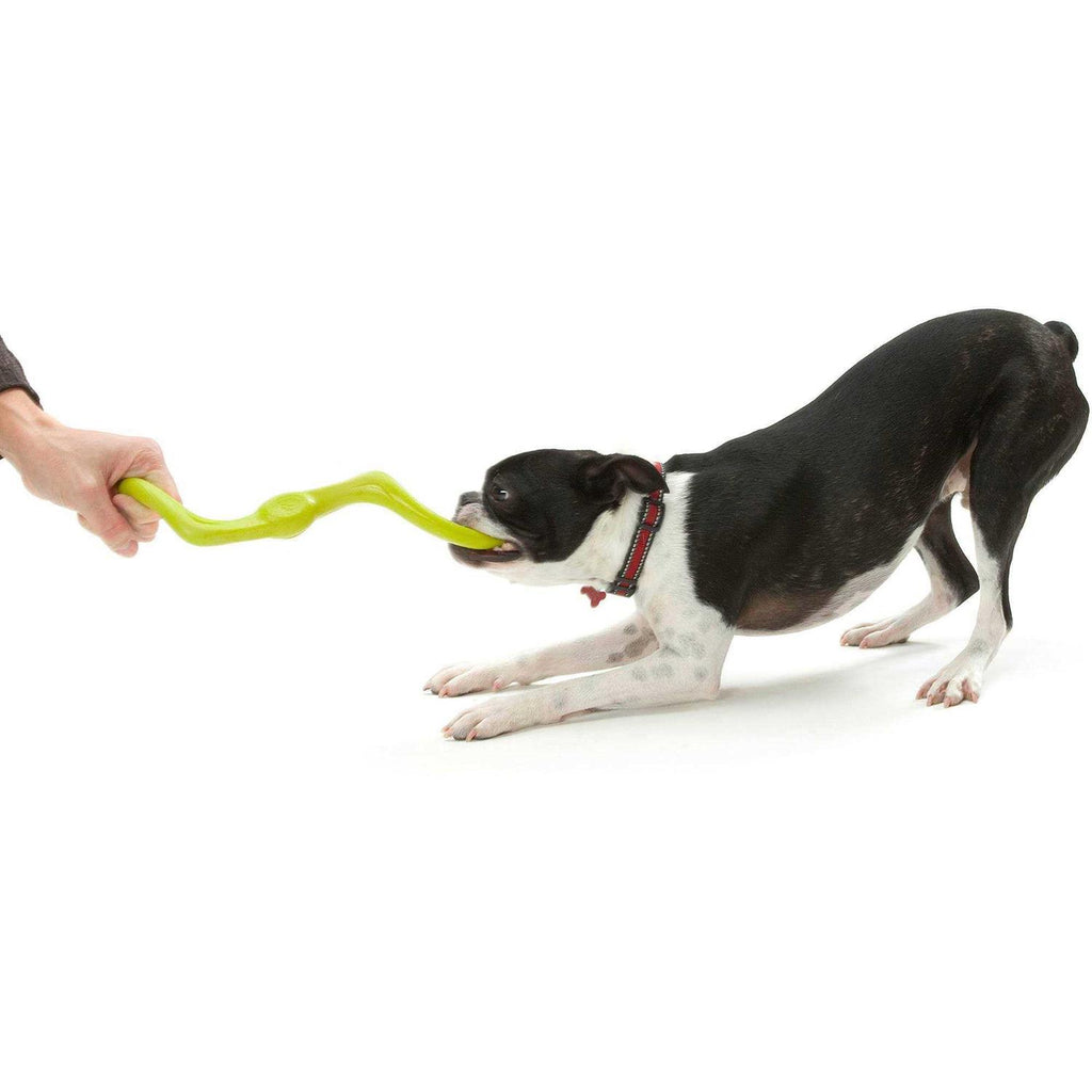 Dog Toy W25041