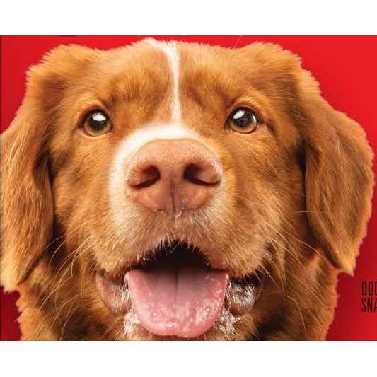 Grain Free Dog K642
