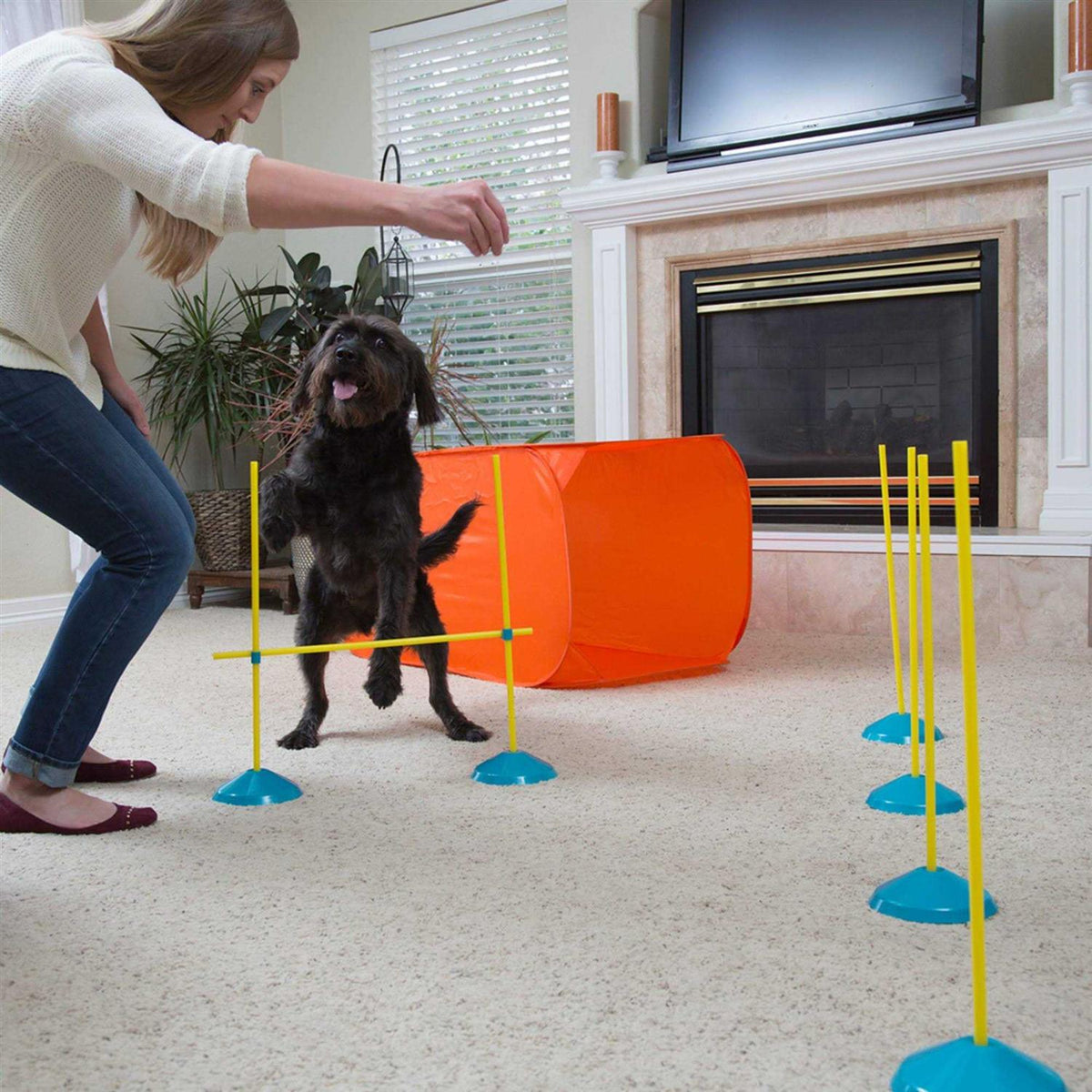 Indoor Dog Agility Kit E701356