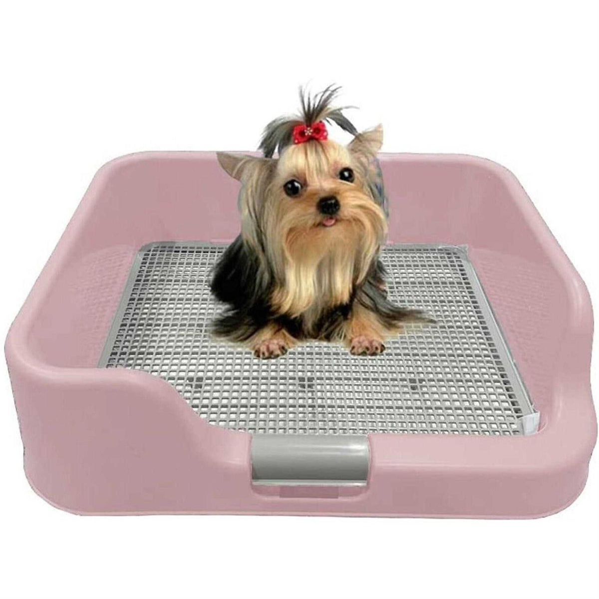 Indoor Dog Potty Tray with Protection Wall W539