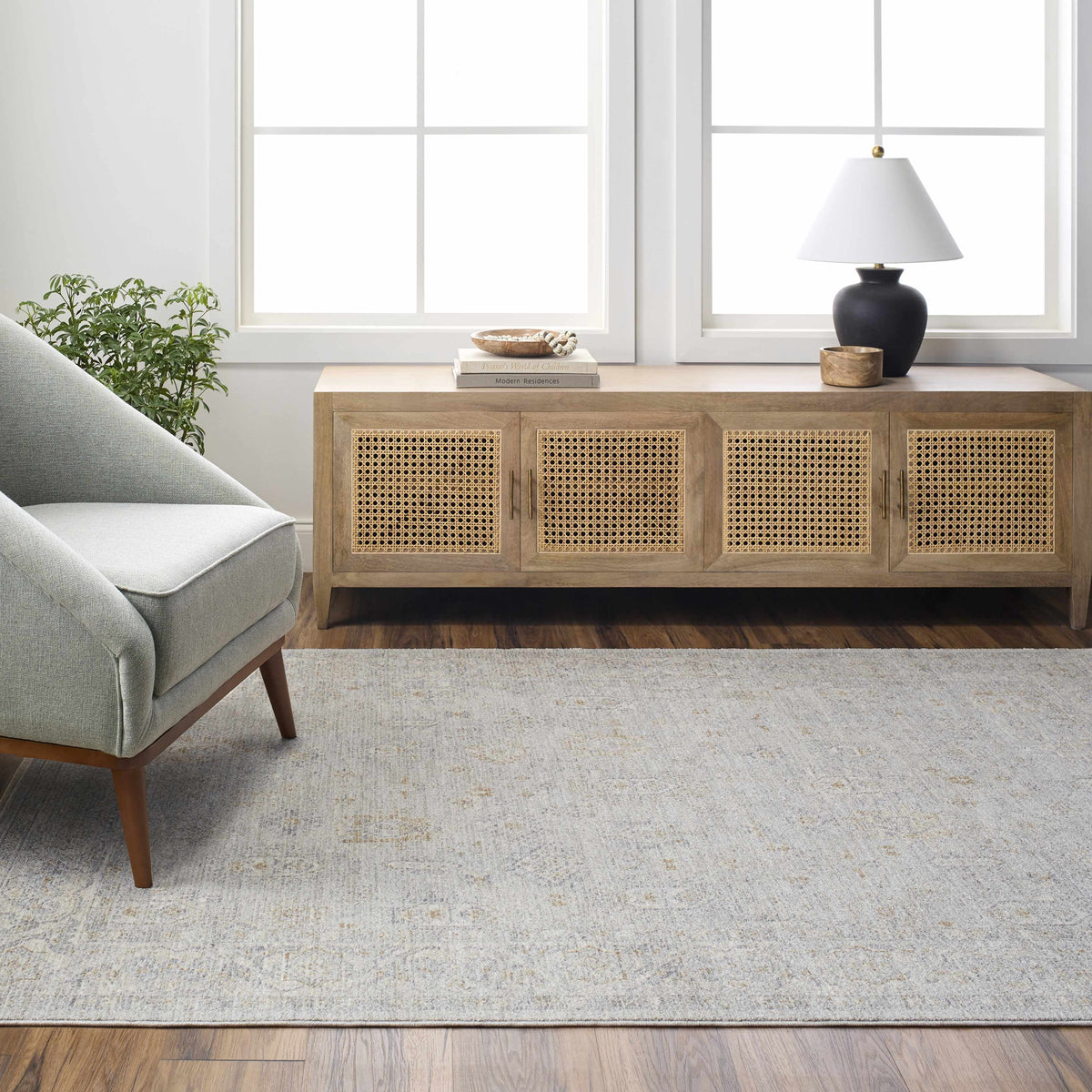 Gray Green 10' x 14' Area Rug A3506