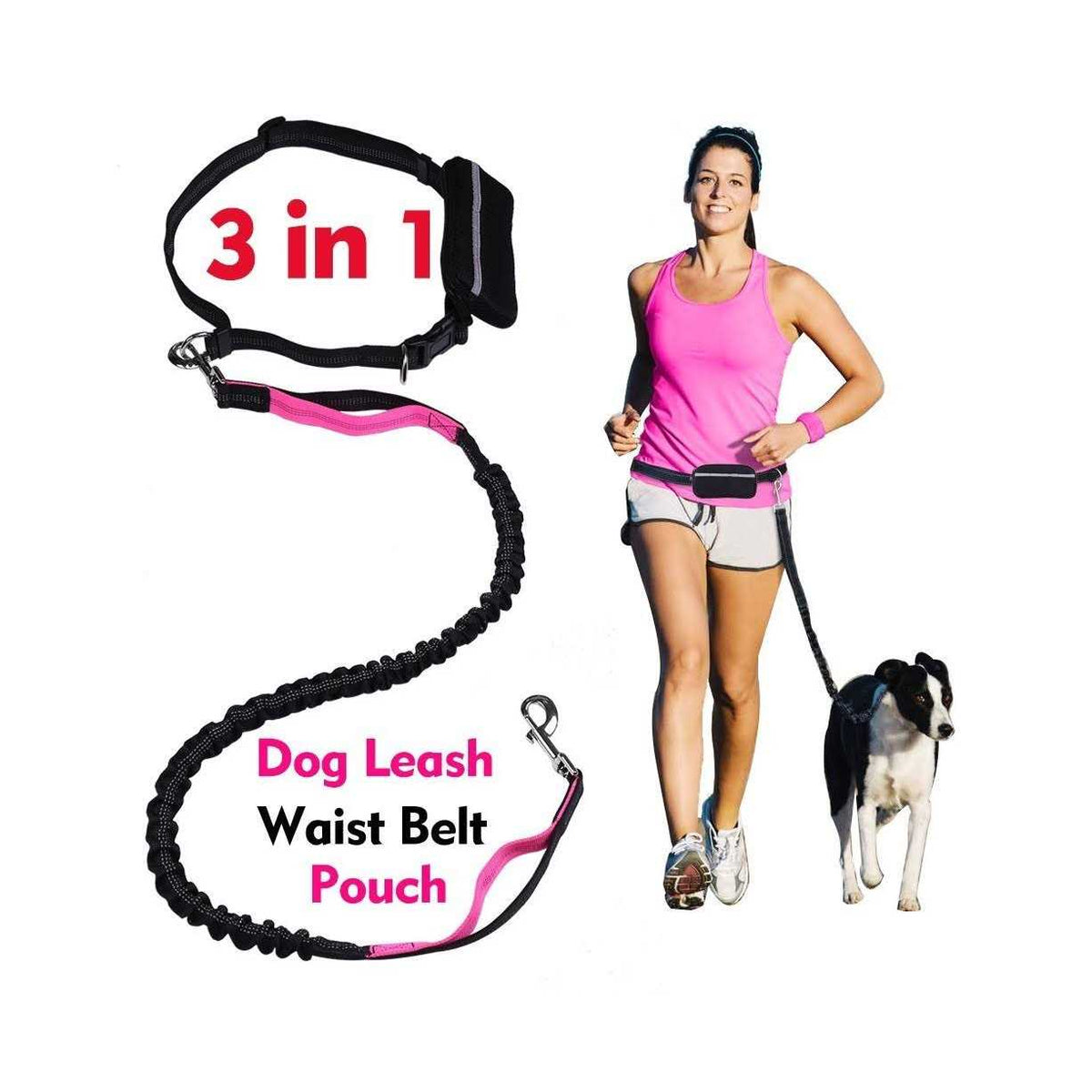 Hands Free Reflective Bungee Dog Leash P323