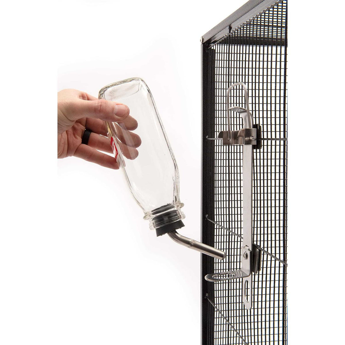 Glass Water Bottle S77127